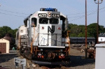 NJT 4219 Spartan Nose